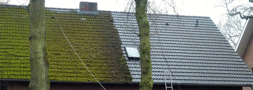 Nettoyage et demoussage de toiture à Sartrouville (78500)