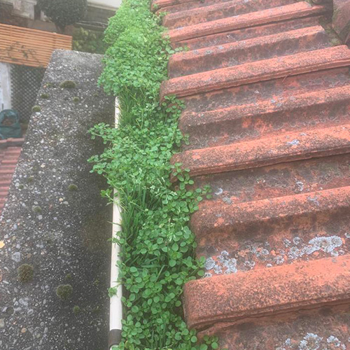 Pose de couverture en ardoise à Sartrouville (78500) dans les Yvelines