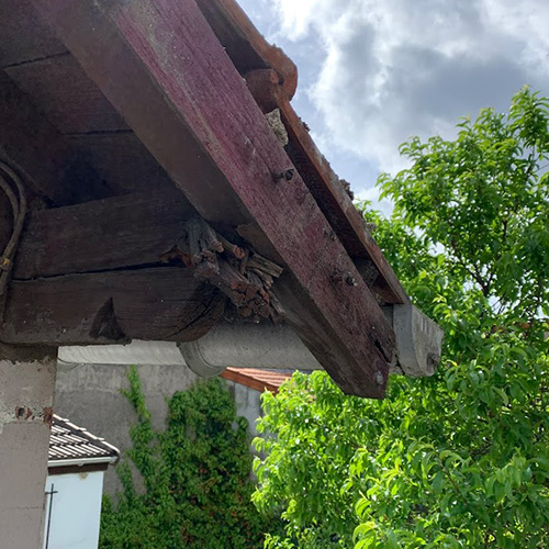 Remplacement de tuiles à Saint-Germain-en-Laye (78100) dans les Yvelines