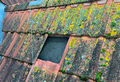 Nettoyage et démoussage de toiture Sartrouville (78500)